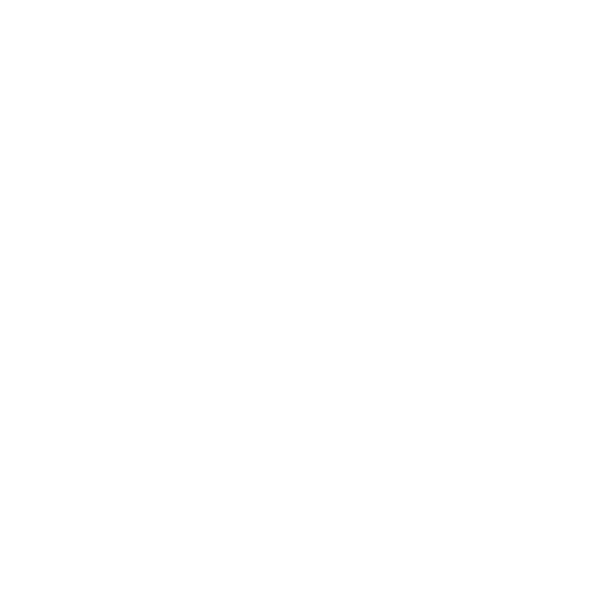 Lord of the Bikes