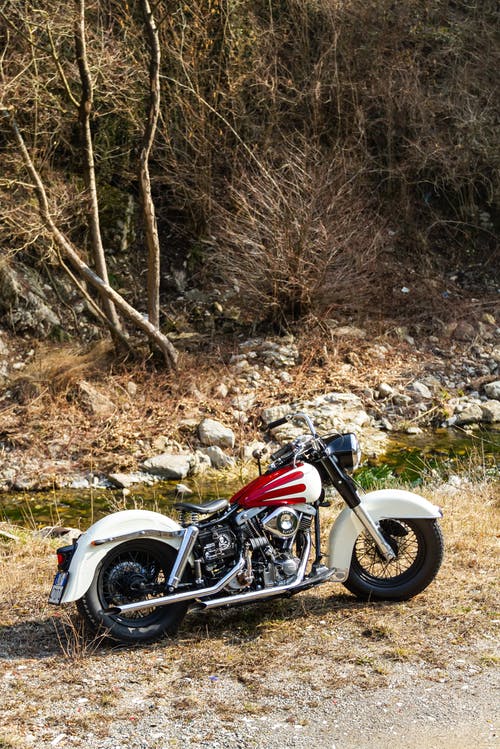 Harley Davidson FX by Greaser Garage
